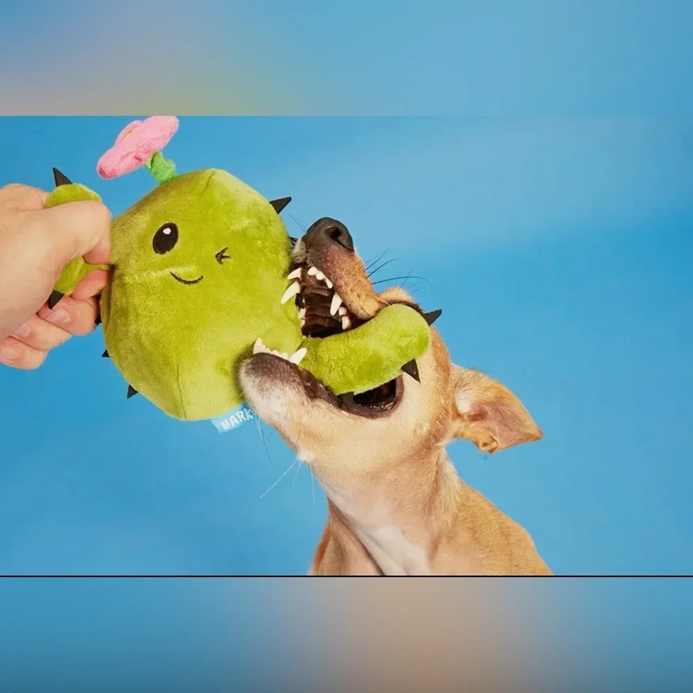 NEW BARK Consuela 🌵 Dog Toy with Pink Flower